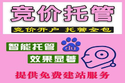 解析SEM推广代运营的五大成功要素